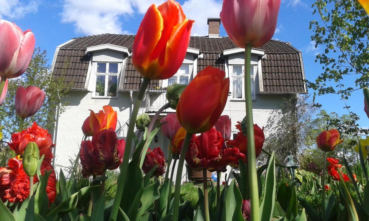 Wonderful Home Bodafors Extérieur photo